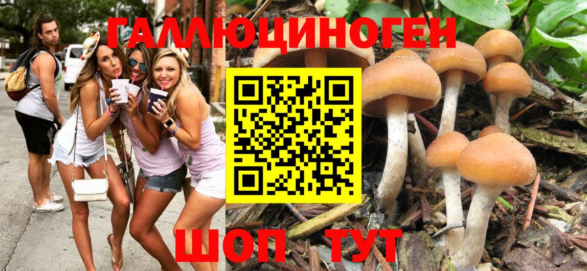 Псилоцибиновые грибы MAGIC MUSHROOMS  Вход с VPN  Великий Устюг  Псилоцибиновые грибы мицелий 